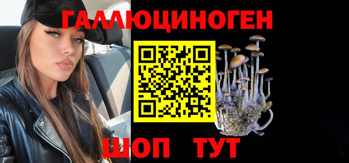 Южно-Сахалинск  Псилоцибиновые грибы MAGIC MUSHROOMS  Вход с VPN  Галлюциногенные грибы MAGIC MUSHROOMS 