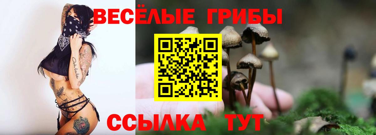 Псилоцибиновые грибы мицелий Южно-Сахалинск